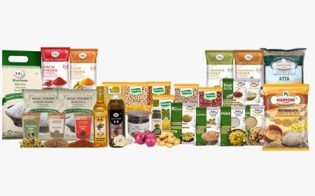 HOAC FOODS INDIA LIMITED Raises ₹1,000.00 Lakhs in Qualified Institutional Placement (QIP)